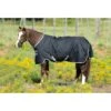 Amigo Stock Horse Turnout 200g - Black/Silver/Black -Ovation Store 303303 800 800