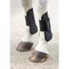 Shires ARMA Tendon Boots - Black -Ovation Store 312180 800 800