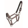 Western Rawhide Country LegendDesigner Padded Halter - Brown/Pink -Ovation Store 360438 800 800