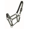 Western Rawhide Country LegendDesigner Padded Halter - Hunter/Mint -Ovation Store 360605 800 800