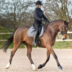 Horze Anti Twist Lock-On Bell Boots - Black -Ovation Store 375306 800 800