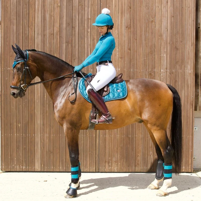 Woof Wear Vision Ergonomic Ear Net - Black/Ocean Woof Wear Vision Ergonomic Ear Net - Black/Ocean -Ovation Store 389073 800 800