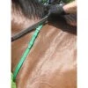 Nunn Finer Nylon Neck Grab Strap - Hunter Green -Ovation Store 399962 800 800