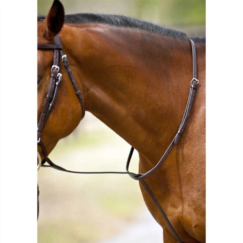 Nunn Finer Standing Martingale - Black/Zinc Nunn Finer Standing Martingale - Black/Zinc -Ovation Store 402577 800 800