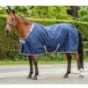 Bucas Celtic Stable Rug Light - Navy -Ovation Store 402851 800 800