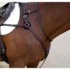 Nunn Finer Breastplate Attachment With Neck Strap - Havana/Brass
