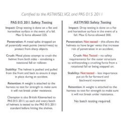 Champion Evolution Pearl Helmet - Black 5 Champion Evolution Pearl Helmet - Black -Ovation Store 405399 800 800