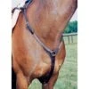 Nunn Finer Elastic Hunting Breastplate - Havana/Brass -Ovation Store 406142 800 800