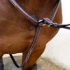 Nunn Finer Bellissimo Hunting Breastplate - Havana/Zinc