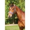 Saxon Element Fleece Headcollar - Navy/Pink -Ovation Store 410209 800 800