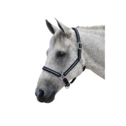 Roma Reflective Breakaway Headcollar - Black