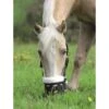 Shires Deluxe Comfort Grazing Muzzle - Black -Ovation Store 419576 800 800