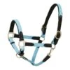 Harmohn Kraft Padded Web/Leather Halter W/Snap - Light Blue/Black -Ovation Store 423042 800 800
