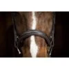 Ovation ATS Fancy Raised Wide Noseband Bridle - Dark Brown -Ovation Store 433865 800 800
