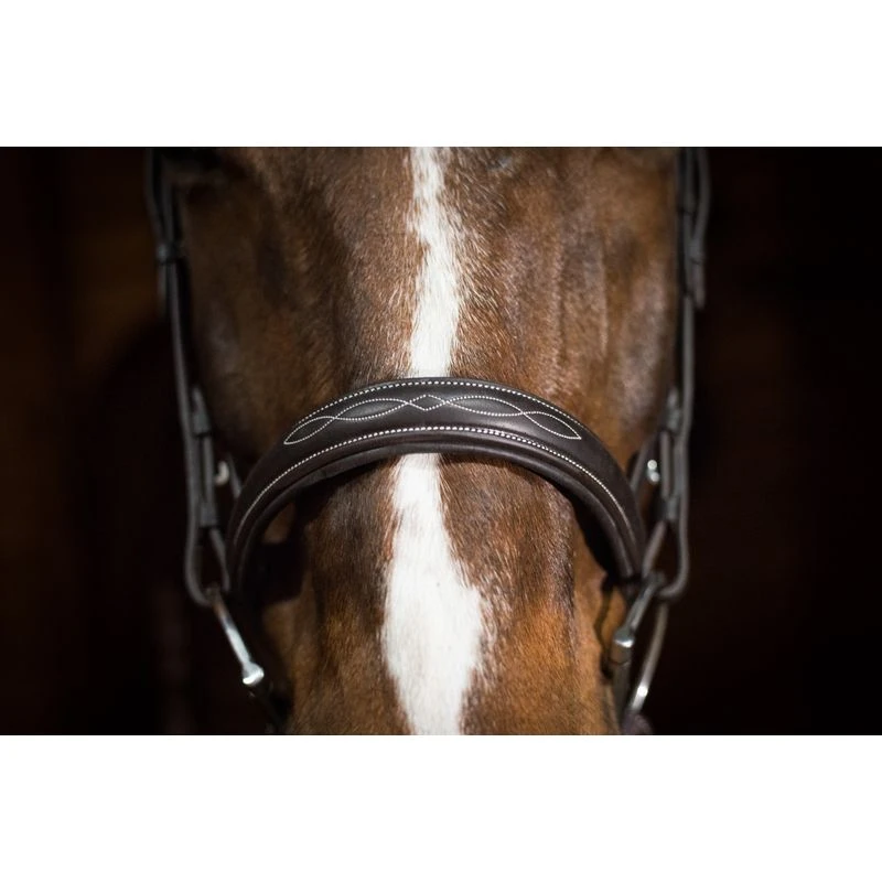 Ovation ATS Fancy Raised Wide Noseband Bridle - Dark Brown Ovation ATS Fancy Raised Wide Noseband Bridle - Dark Brown -Ovation Store 433865 800 800