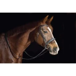 Ovation ATS Fancy Raised Wide Noseband Bridle - Dark Brown 4 Ovation ATS Fancy Raised Wide Noseband Bridle - Dark Brown -Ovation Store 433867 800 800