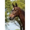 Kincade Raised Fancy Stitched Bridle - Brown 2 Kincade Raised Fancy Stitched Bridle - Brown -Ovation Store 442510 800 800