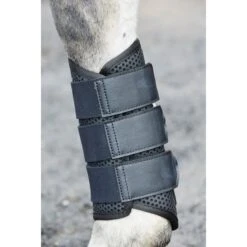 Weatherbeeta Exercise Boots - Black -Ovation Store 442779 800 800