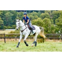 Weatherbeeta Cross Country Boots Hind - Black -Ovation Store 442793 800 800