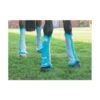 Shires Airflow Turnout Socks - Teal -Ovation Store 444959 800 800