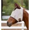 Kensington Signature Fly Mask W/Web Trim, Ears And Forelock Hole - Desert Sand 1 Kensington Signature Fly Mask W/Web Trim, Ears And Forelock Hole - Desert Sand -Ovation Store 445989 800 800