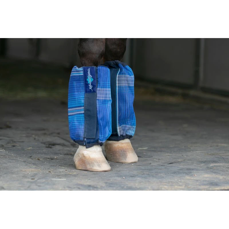 Kensington Bubble Fly Boots (Set of 4) - Kentucky Blue Kensington Bubble Fly Boots (Set Of 4) - Kentucky Blue -Ovation Store 446850 800 800