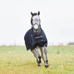 Horze Avalanche Turnout Blanket 150g - Peacoat Dark Blue 4 Horze Avalanche Turnout Blanket 150g - Peacoat Dark Blue -Ovation Store 451483 800 800