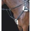 Shires Rossano 5-Point Breastplate - Black -Ovation Store 469764 800 800