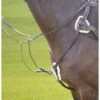 Shires Avignon Five Point Breastplate - Havana -Ovation Store 471278 800 800