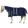 Centaur Pony 1200D Combo Turnout 200g - Navy/Grey 2 Centaur Pony 1200D Combo Turnout 200g - Navy/Grey -Ovation Store 473206 800 800