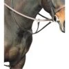 Kincade Flat Running Martingale - Brown -Ovation Store 474414 800 800