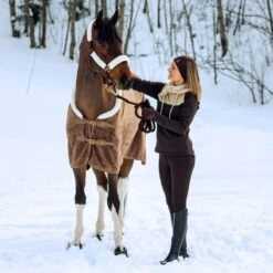 Horze Women's Rhea Full Seat Thermo Breeches W/Back Pockets - After Dark Brown -Ovation Store 477154 800 800