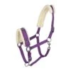 Horze Lunging Cavesson - Purple -Ovation Store 479705 800 800