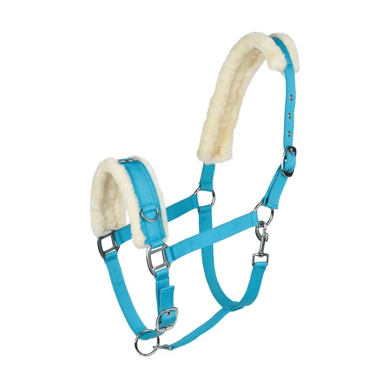 Horze Lunging Cavesson - True Blue Horze Lunging Cavesson - True Blue -Ovation Store 479755 800 800