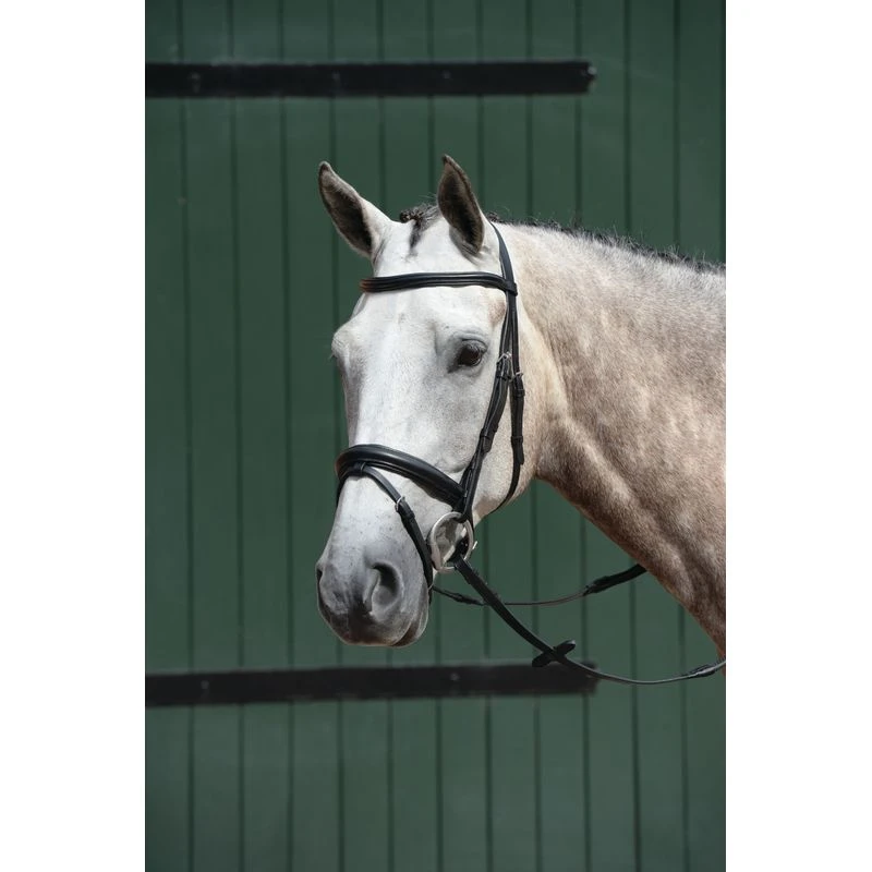 Collegiate Essential Padded Raised Flash Bridle - Black Collegiate Essential Padded Raised Flash Bridle - Black -Ovation Store 487719 800 800