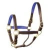 Perri's 1" Padded Leather Halter - Havana/Blue -Ovation Store 500309 800 800