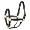 Perri's 1" Padded Leather Halter - Black/Black/Brass -Ovation Store 500351 800 800
