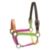 Perri's Nylon Safety Halter - Multi Neon -Ovation Store 500418 800 800