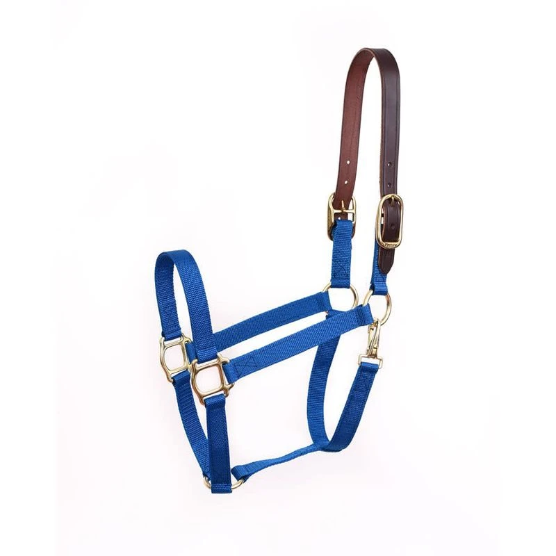 Perri's Economy Nylon Safety Halter - Royal Blue Perri's Economy Nylon Safety Halter - Royal Blue -Ovation Store 502091 800 800