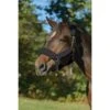 Shires ARMA Supafleece Halter Set - Black 1 Shires ARMA Supafleece Halter Set - Black -Ovation Store 503215 800 800