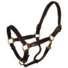 Perri's 3/4" Mini/Pony Padded Leather Halter - Havana/Brown -Ovation Store 503680 800 800