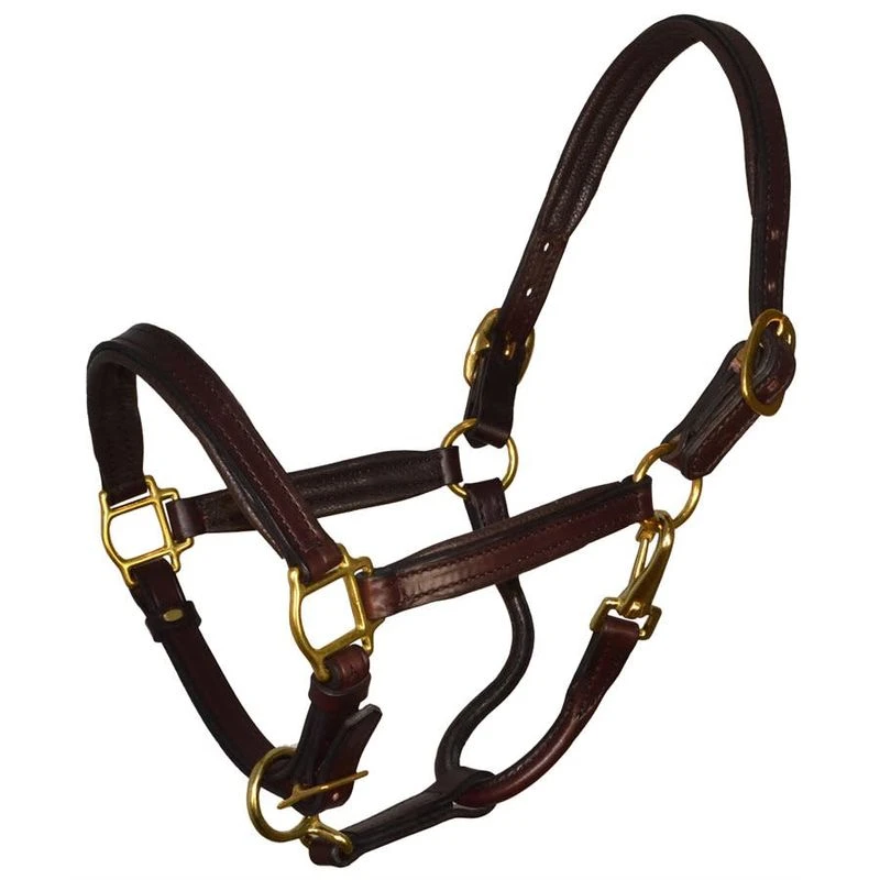 Perri's 3/4" Mini/Pony Padded Leather Halter - Havana/Brown Perri's 3/4" Mini/Pony Padded Leather Halter - Havana/Brown -Ovation Store 503680 800 800