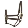 Perri's 1" Leather Track Halter - Havana -Ovation Store 503718 800 800