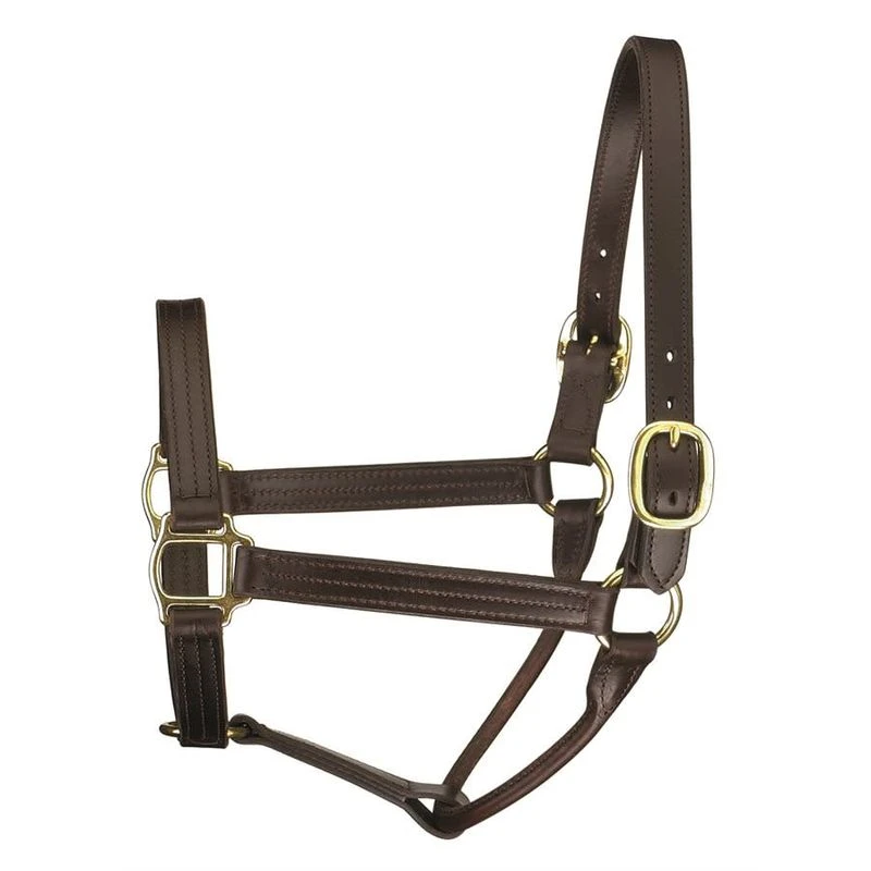 Perri's 1" Leather Track Halter - Havana Perri's 1" Leather Track Halter - Havana -Ovation Store 503718 800 800