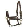 Perri's Nylon Safety Halter - Black 1 Perri's Nylon Safety Halter - Black -Ovation Store 504005 800 800