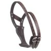 Camelot Wonder Cribbing Collar - Brown -Ovation Store 504320 800 800