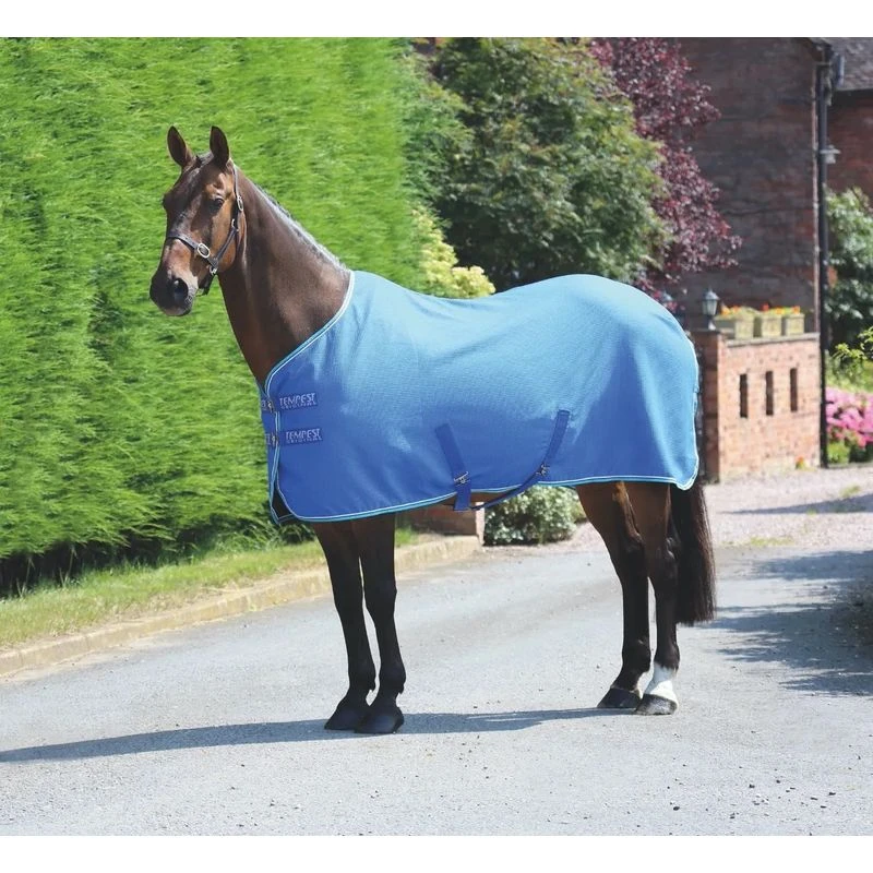 Shires Tempest Original Waffle Rug - Royal Shires Tempest Original Waffle Rug - Royal -Ovation Store 509550 800 800