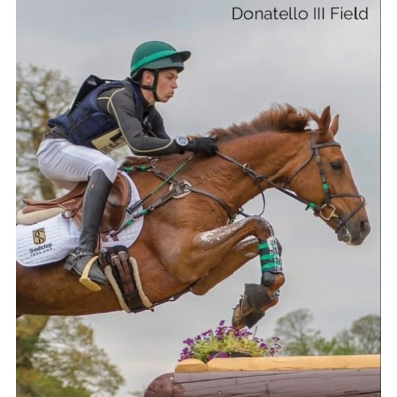 Tredstep Donatello III Field Boot - Black Tredstep Donatello III Field Boot - Black -Ovation Store 524639 800 800