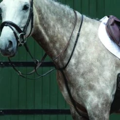 Collegiate Essential Plain Flat Running Martingale - Brown