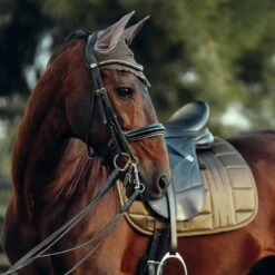 B Vertigo Drew Ear Net - Cub Brown -Ovation Store 545025 800 800